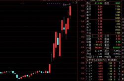 比亚迪智驾观点启发多只股票大涨黑芝麻智能股价两日涨幅近70%，个股资本流向盘查_个股行情_手机同花顺财经黄金etf贸易法则及用度都有哪些？有谁了解见知一下？（）