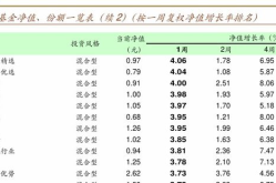 基金660004,价值投资策略下的股票型基金解析