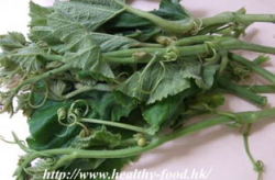 孕妇可以吃南瓜苗菜吗,孕期营养佳品，助力母婴健康