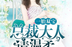 一胎双宝总裁大人请温柔免费阅读,一胎双宝的甜蜜纠葛