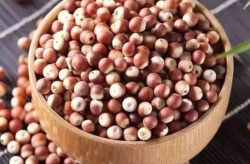芡实南瓜薏米红豆的功效和作用及禁忌是什么,养生佳品，功效与禁忌详述