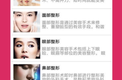 美容整形网,技术革新与美丽追求的完美融合