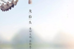 龙抬头小说全文免费阅读,逆袭之路，崛起之巅