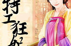 特工狂妃全文免费阅读,风云大陆的传奇女神