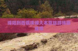 绵阳到西藏珠峰大本营旅游线路推荐2025年6月4日