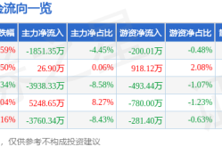丰田放大招了电子无级变快(E-CVT)变快箱及丰田究竟翻身了它的卖点是什么及-黑芝麻（000716）2月13日主力资本净流入925750万元