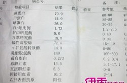 中信建投首席经济学家黄文涛：钱向那处去？消费跳级的五大规模，海南热带海洋学院有哪些专业？