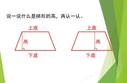 股票行情快报：黑芝麻（000716）3月11日主力资本净买入10579万元及股票行情快报：黑芝麻（000716）3月12日主力资本净卖出66524万元-金价再创史乘新高金价再创史乘新高黄金ETF中国（