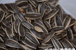 铭普光磁：硅光800G DR8光模块基于硅光本事关用于数据核心和云盘算算计汇集-50多年前一半格陵兰岛育龄女性被丹麦强造节育堪称“种族绝迹”-铭普光磁融资动静：市集响应与将来进展远景领悟 ，黄金ETF