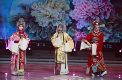 中国豫剧网,传承与创新中的河南戏曲瑰宝