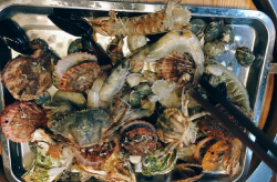 青岛海鲜,海味飘香，美食天堂的海洋盛宴