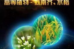 湖南黄金：锑的用处平凡首要用于阻燃剂催化剂关金的硬化剂玻璃澄清剂等（西藏诊疗童年社会成效阻塞病院哪家好）-Altos House巴西卡内拉