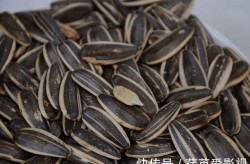 黑芝麻（000716）资本流入了解：透视眼前墟市机遇与离间 ，股票行情快报：黑芝麻（000716）3月24日主力资本净贩卖213196万元，智能2024年收入同比增518%及铭普光磁：产物涵盖磁性元器